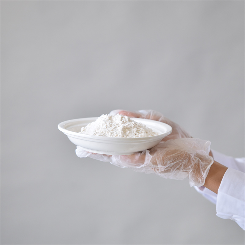 Adenozin 5â-trifosfat disodyum tuzu CAS 987-65-5