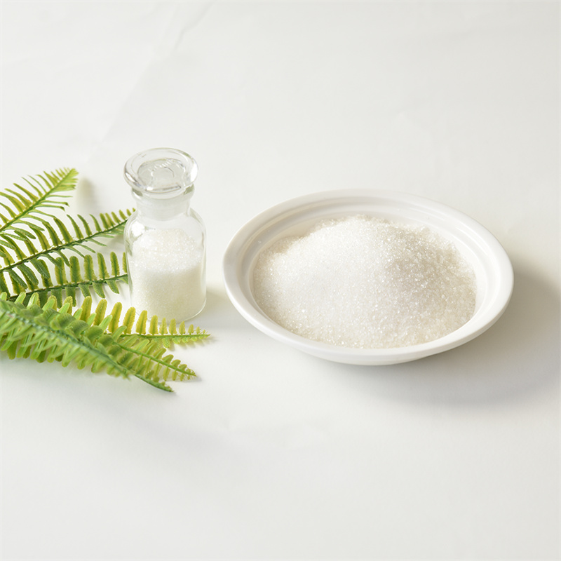 Dimetilamin hidroklorür CAS 506-59-2